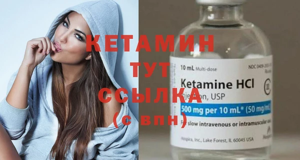 индика Богданович