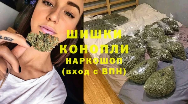 индика Богданович