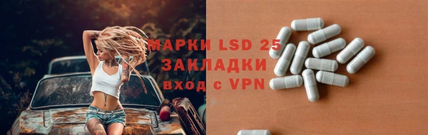 индика Богданович