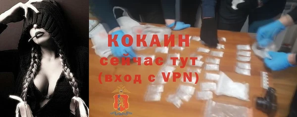 индика Богданович