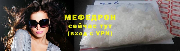 индика Богданович