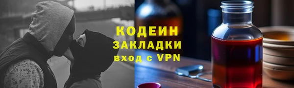 индика Богданович