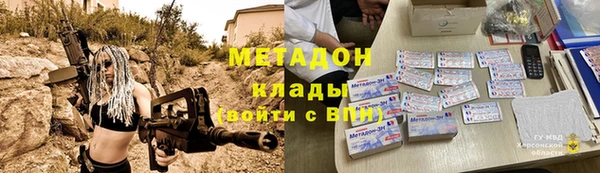 индика Богданович