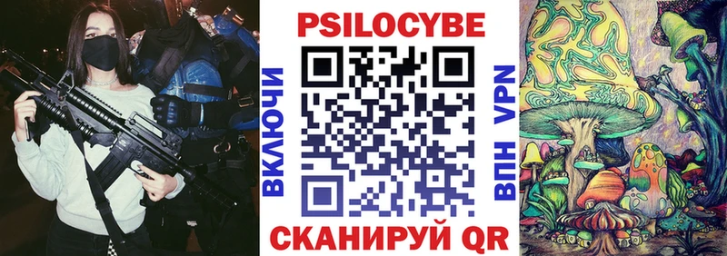Псилоцибиновые грибы мицелий  где найти наркотики  Каменка 